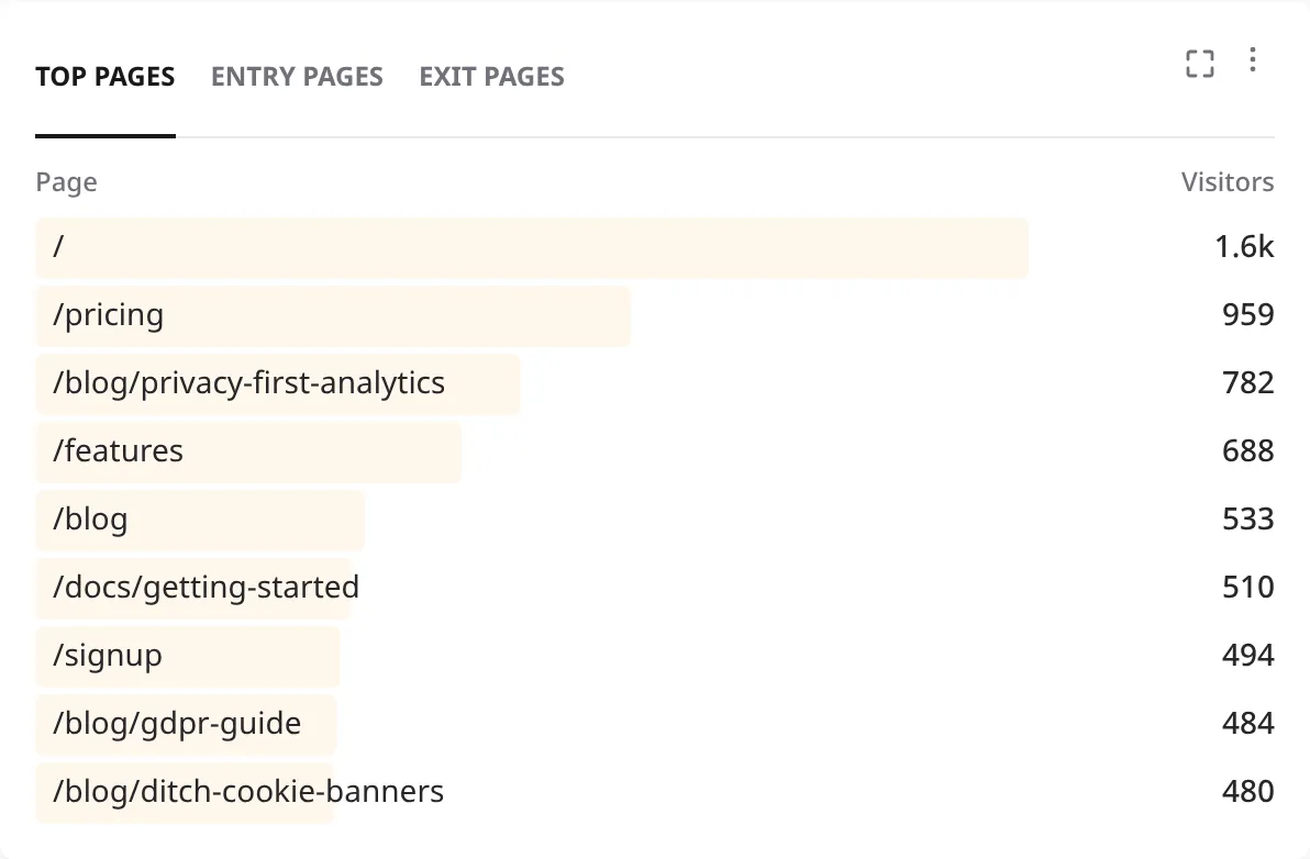 Top pages report listing the home page, pricing, blog posts and docs pages by visitors.